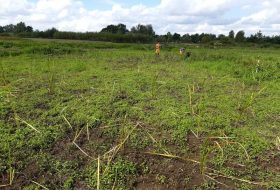 Svētes palienas pļavas