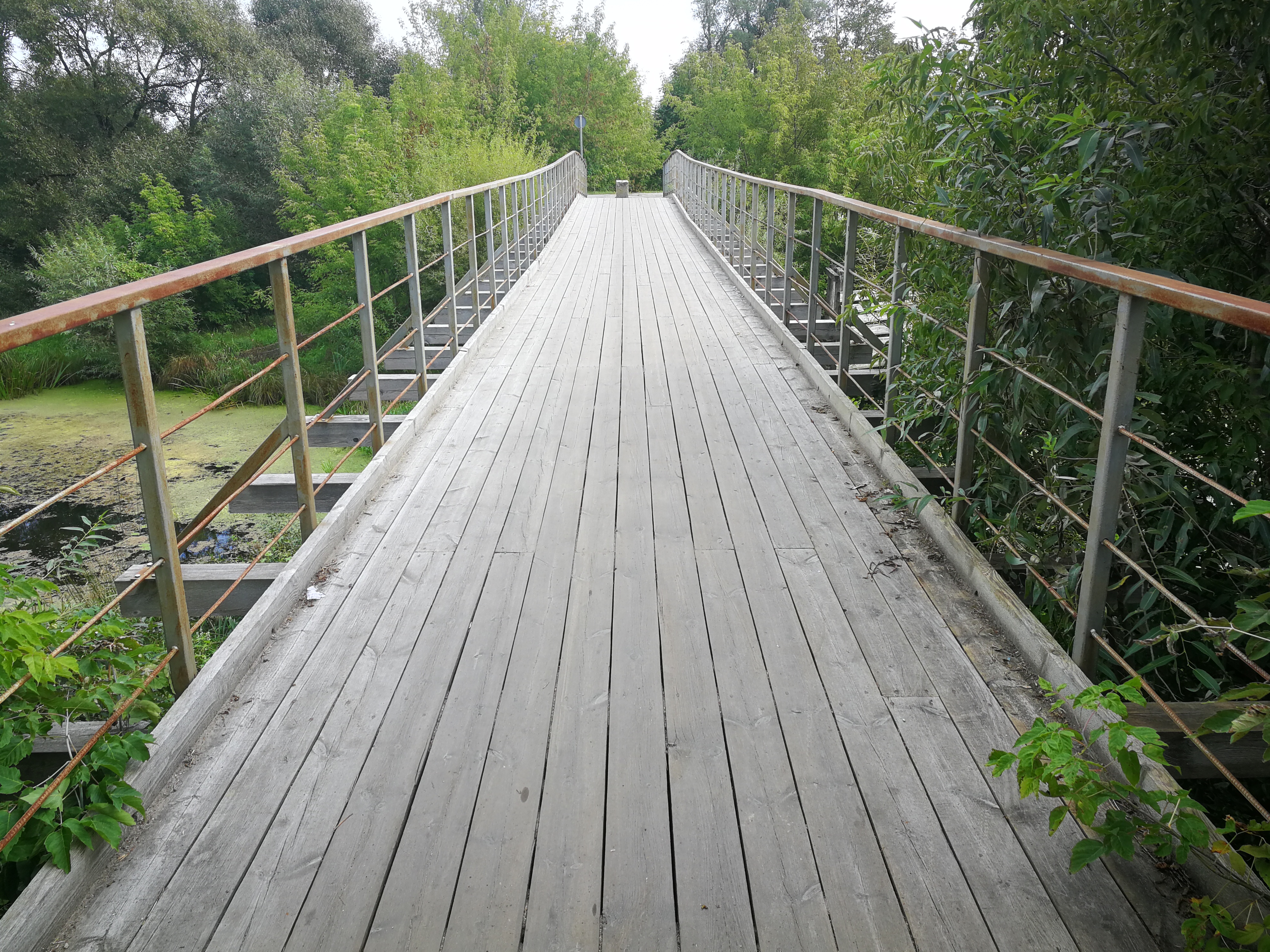 Bauskas ielas tilts pār Platones upi