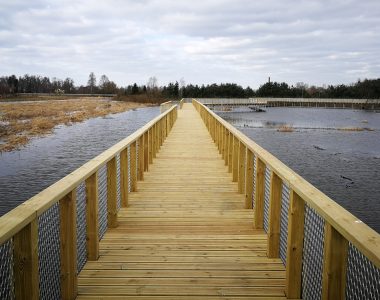 Svētes palienas pļavu laipas