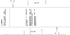 Satiksmes organizācijas shēma Spāru ielā