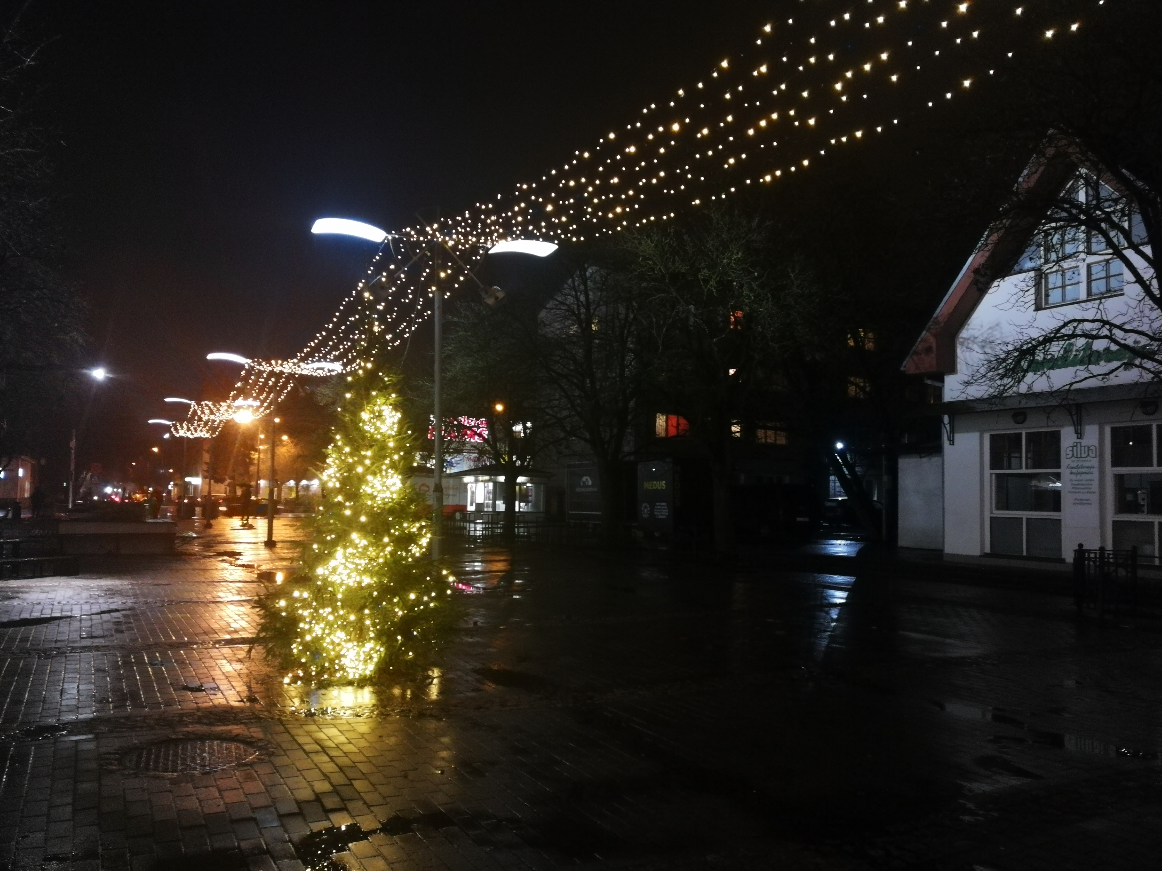 Ziemassvētku rotājumi Driksas ielā