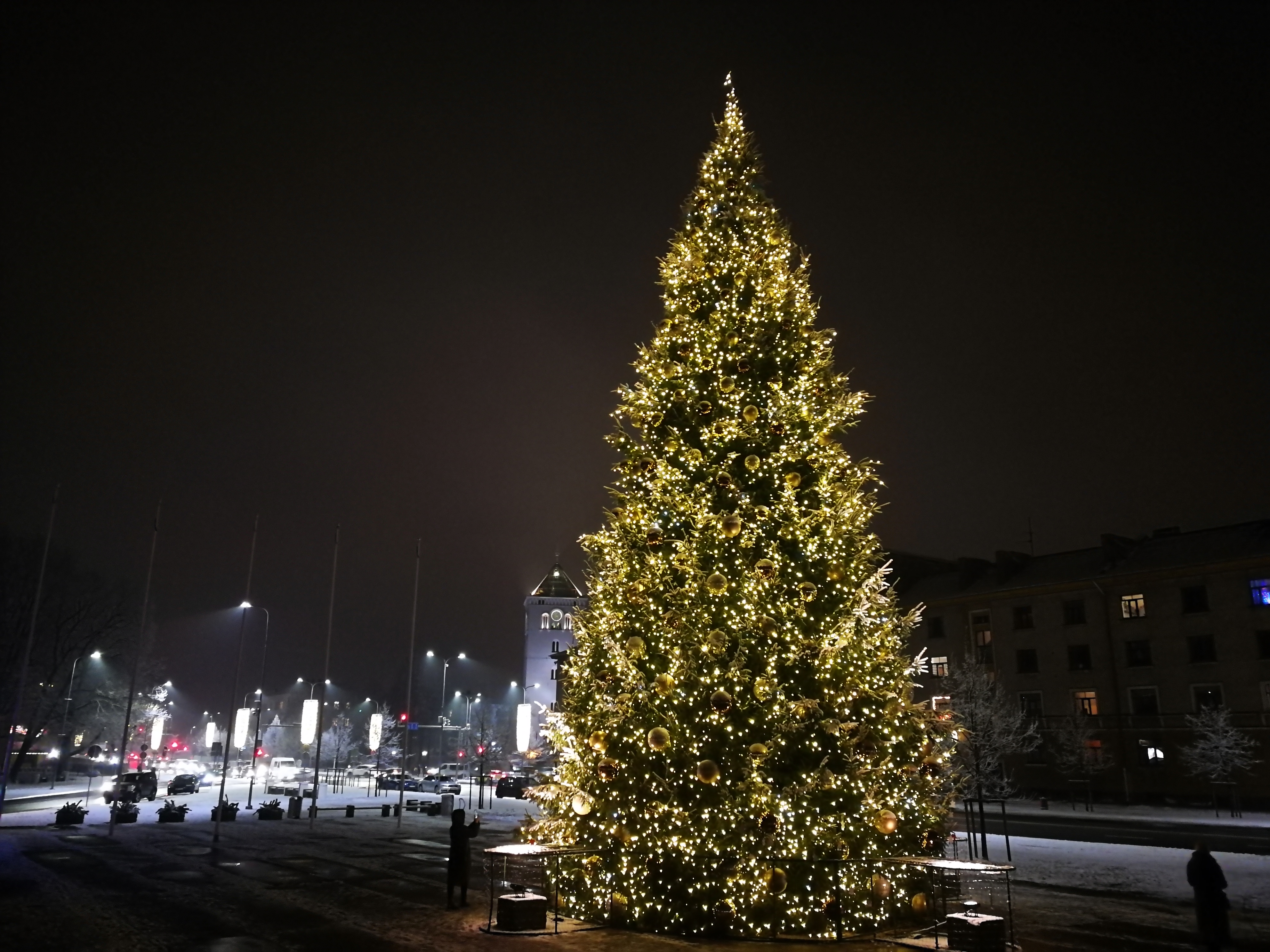 Ziemassvētku rotājumi Jelgavas pilsētas egle