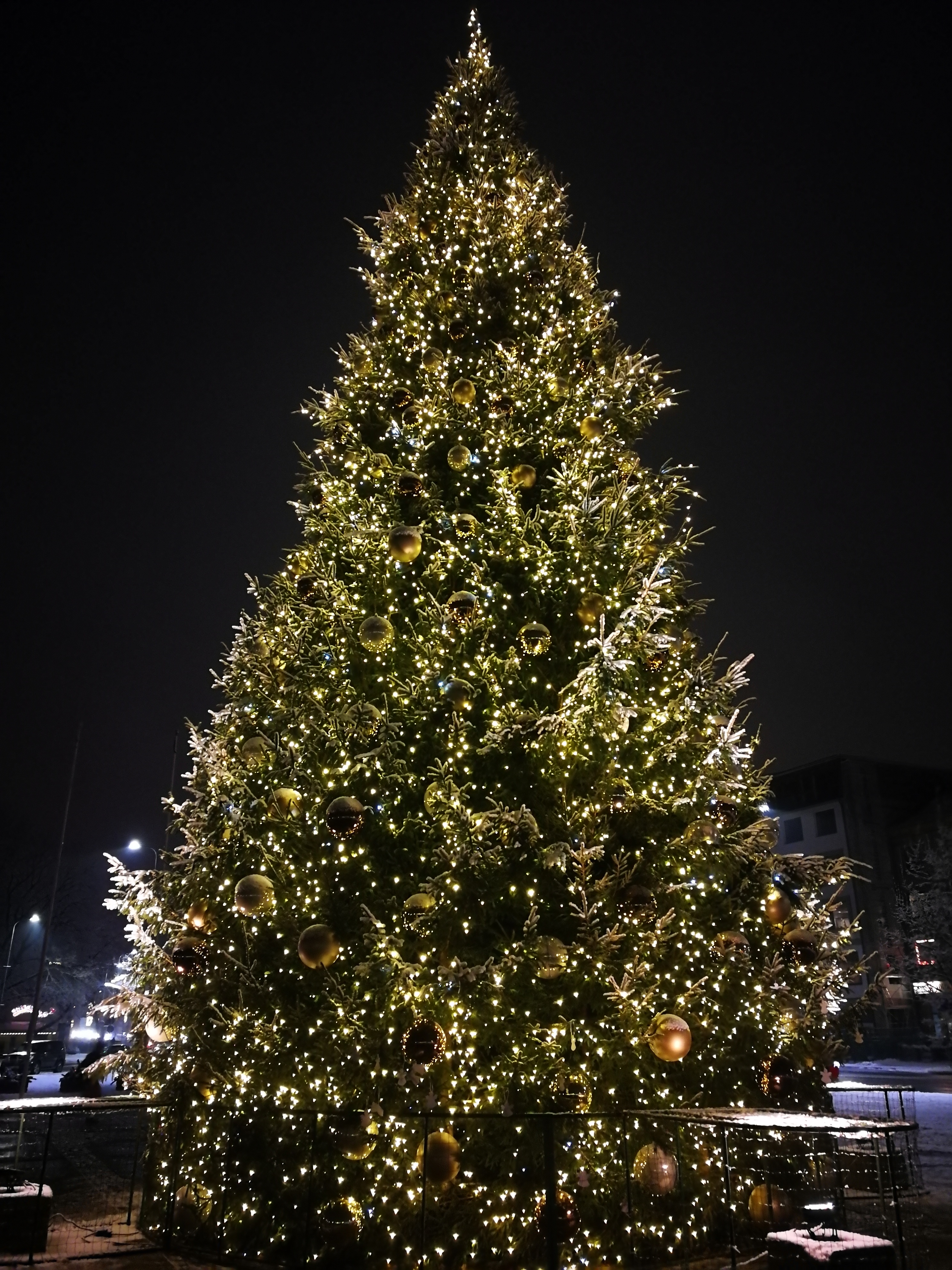 Ziemassvētku rotājumi Jelgavas pilsētas egle