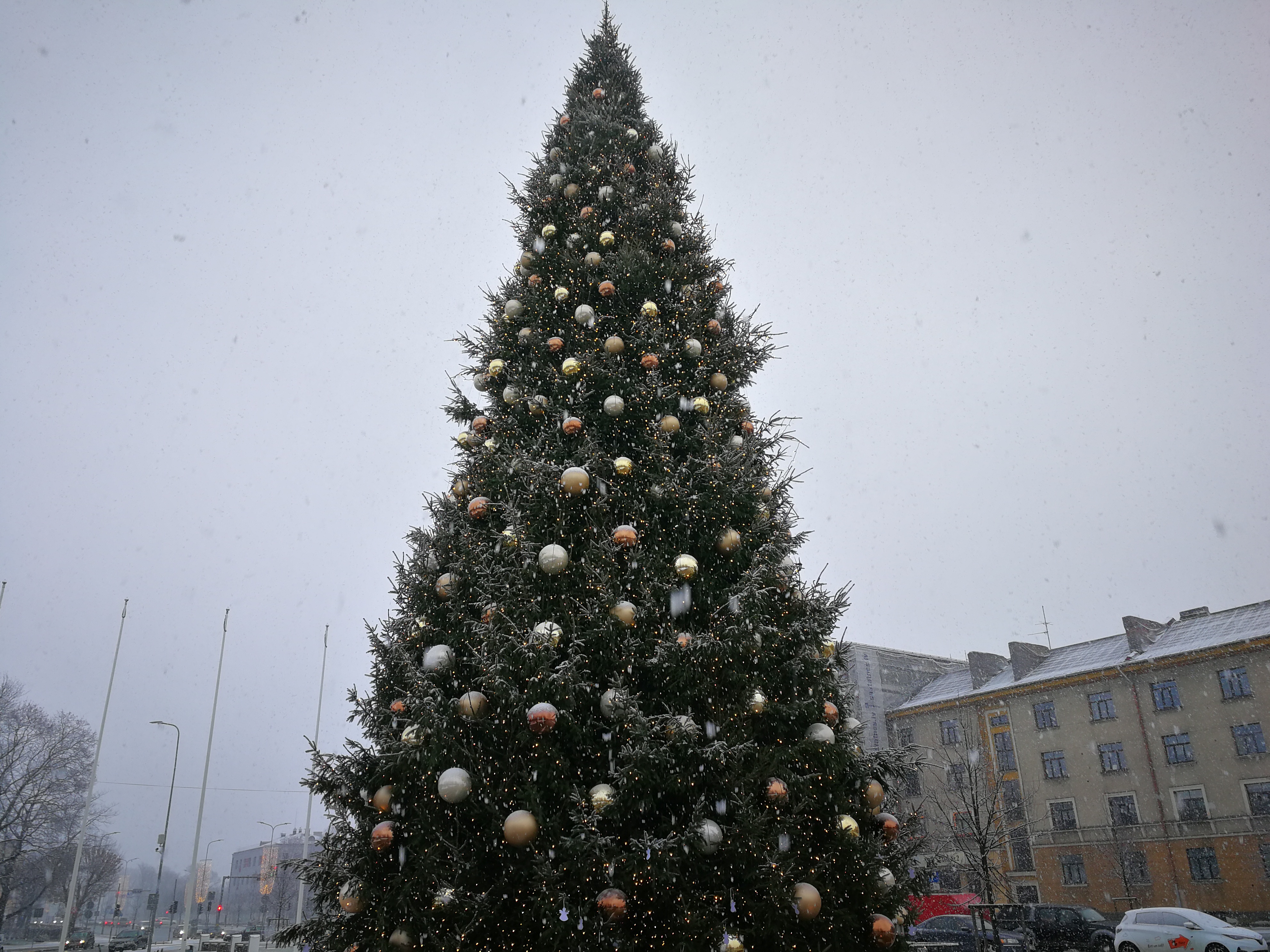 Ziemassvētku rotājumi Jelgavas pilsētas egle