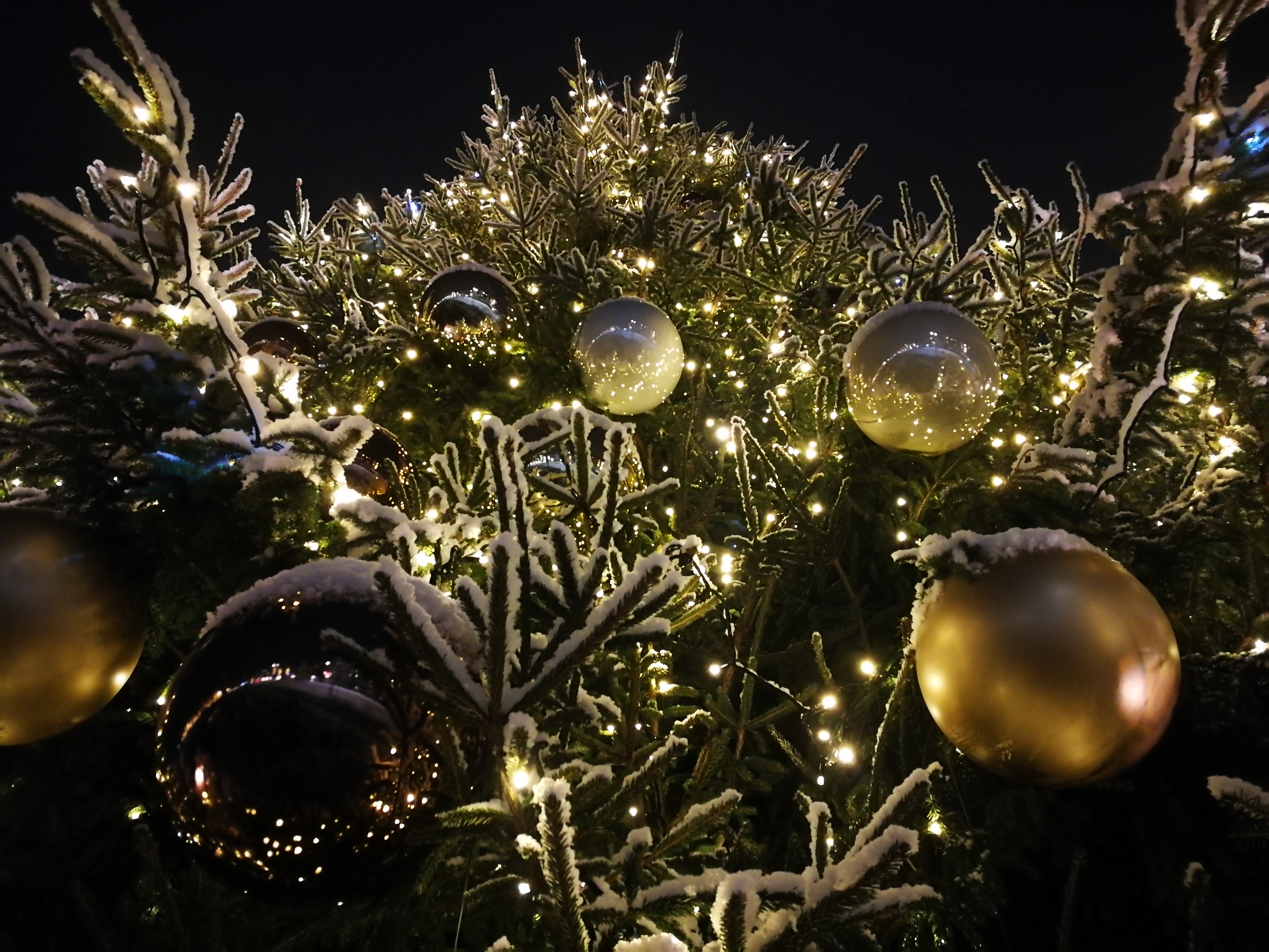 Ziemassvētku rotājumi Jelgavas pilsētas egle