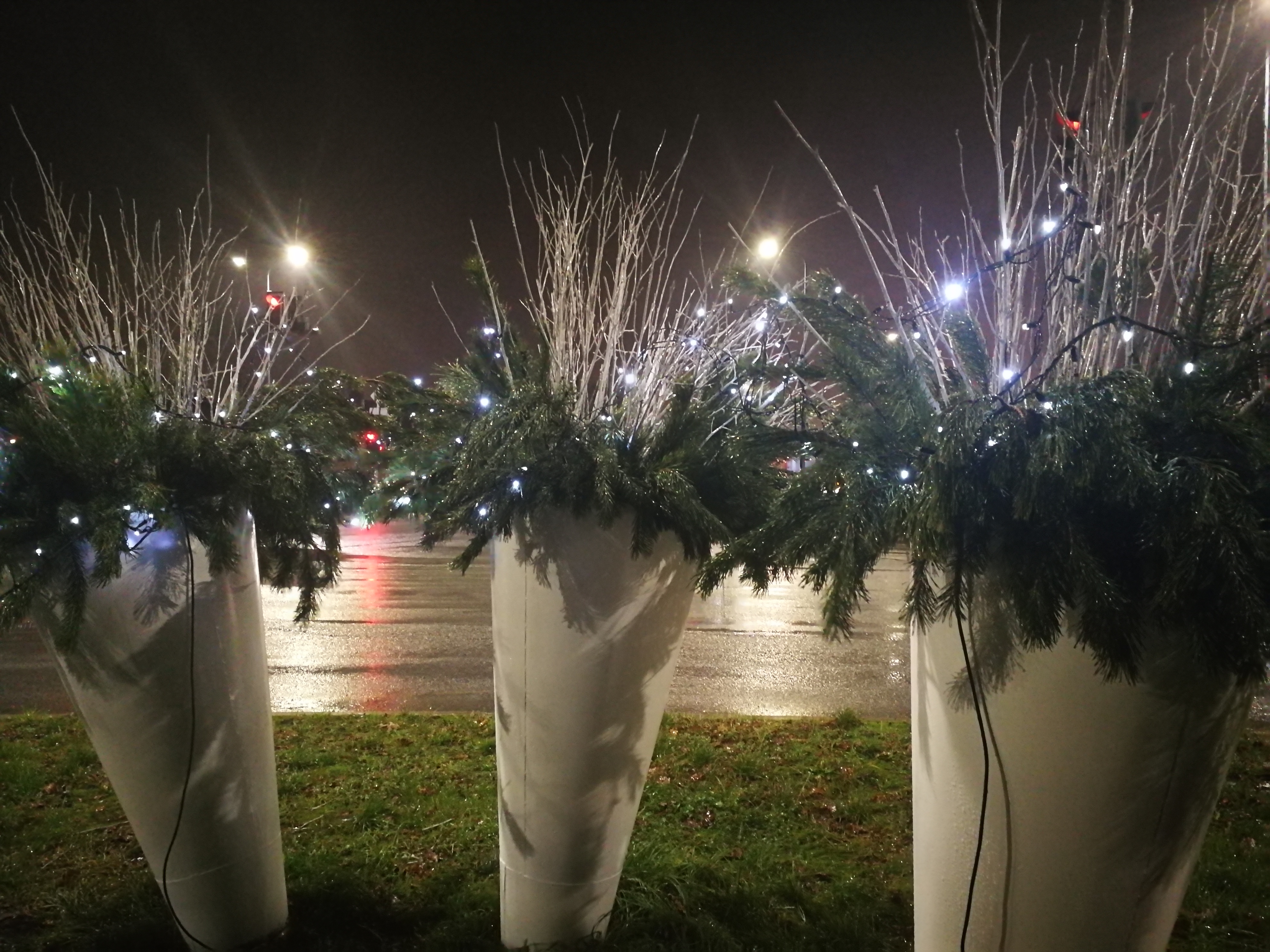 Ziemassvētku rotājumi Ozolskvērā