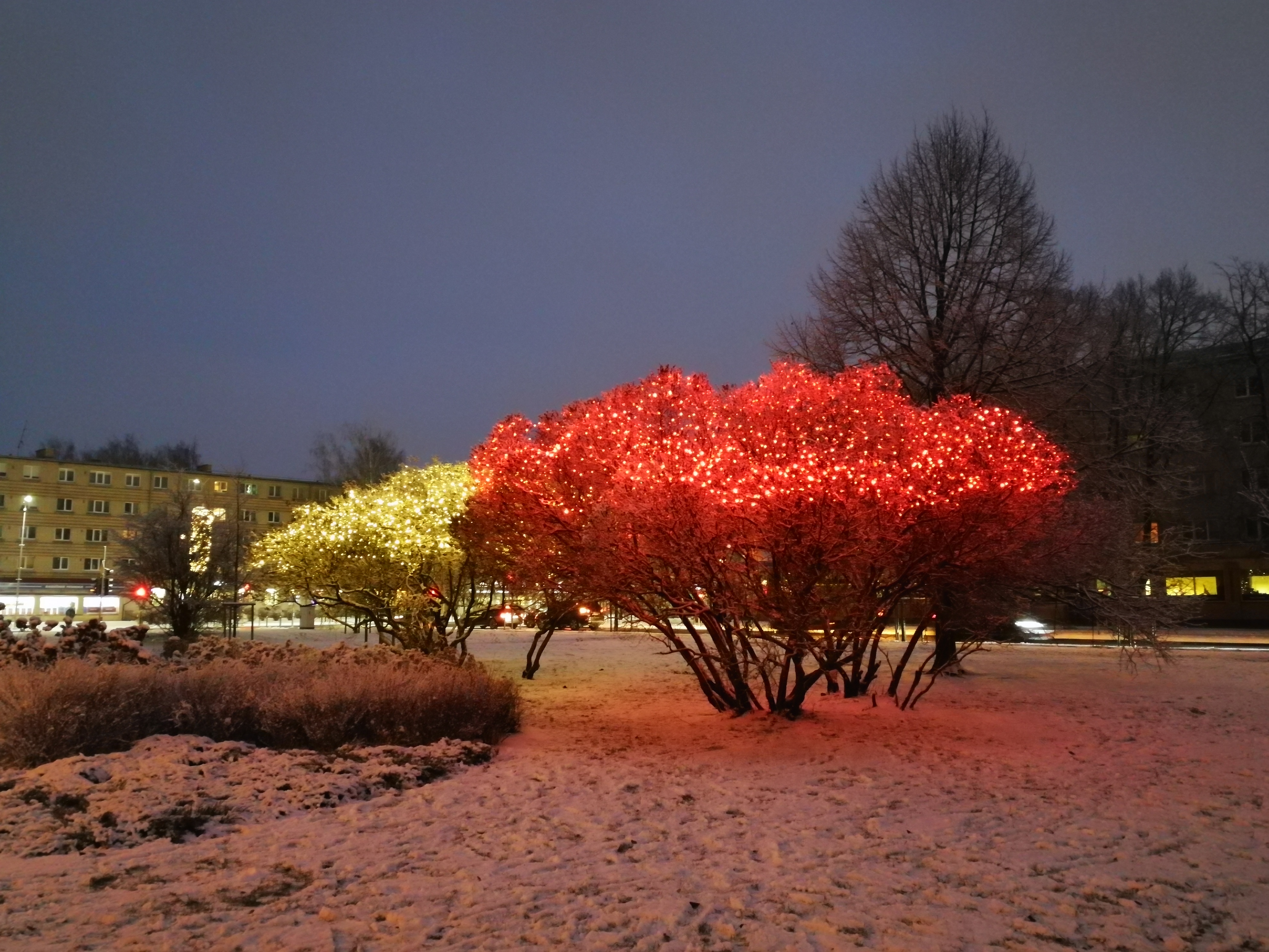 Ziemassvētku rotājumi Ozolskvērā