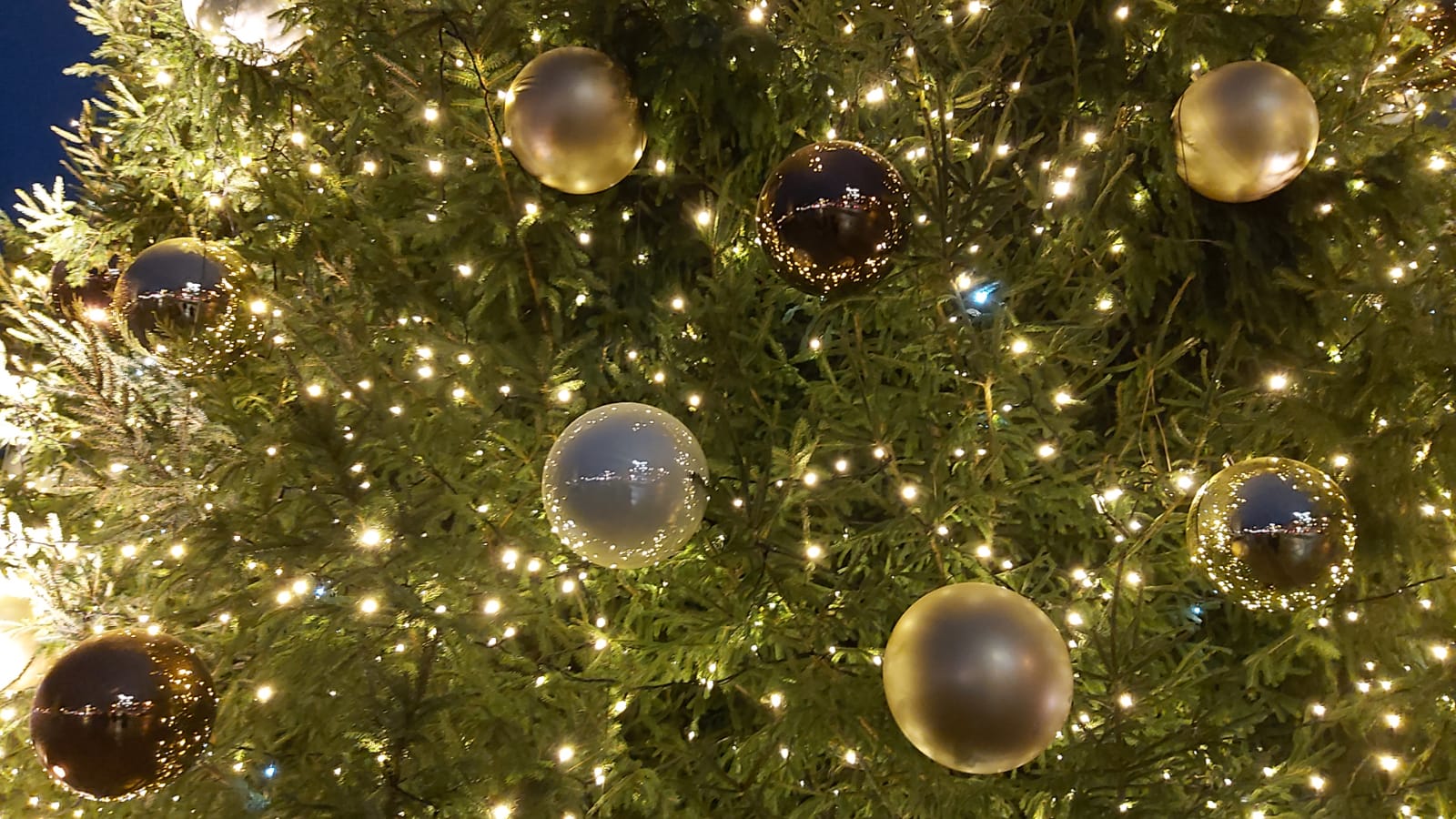 Ziemassvētku rotājumi Jelgavas pilsētas egle