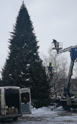Rotājumu un gaismas dekoru noņemšana pilsētas lielajai eglei Hercoga Jēkaba laukumā