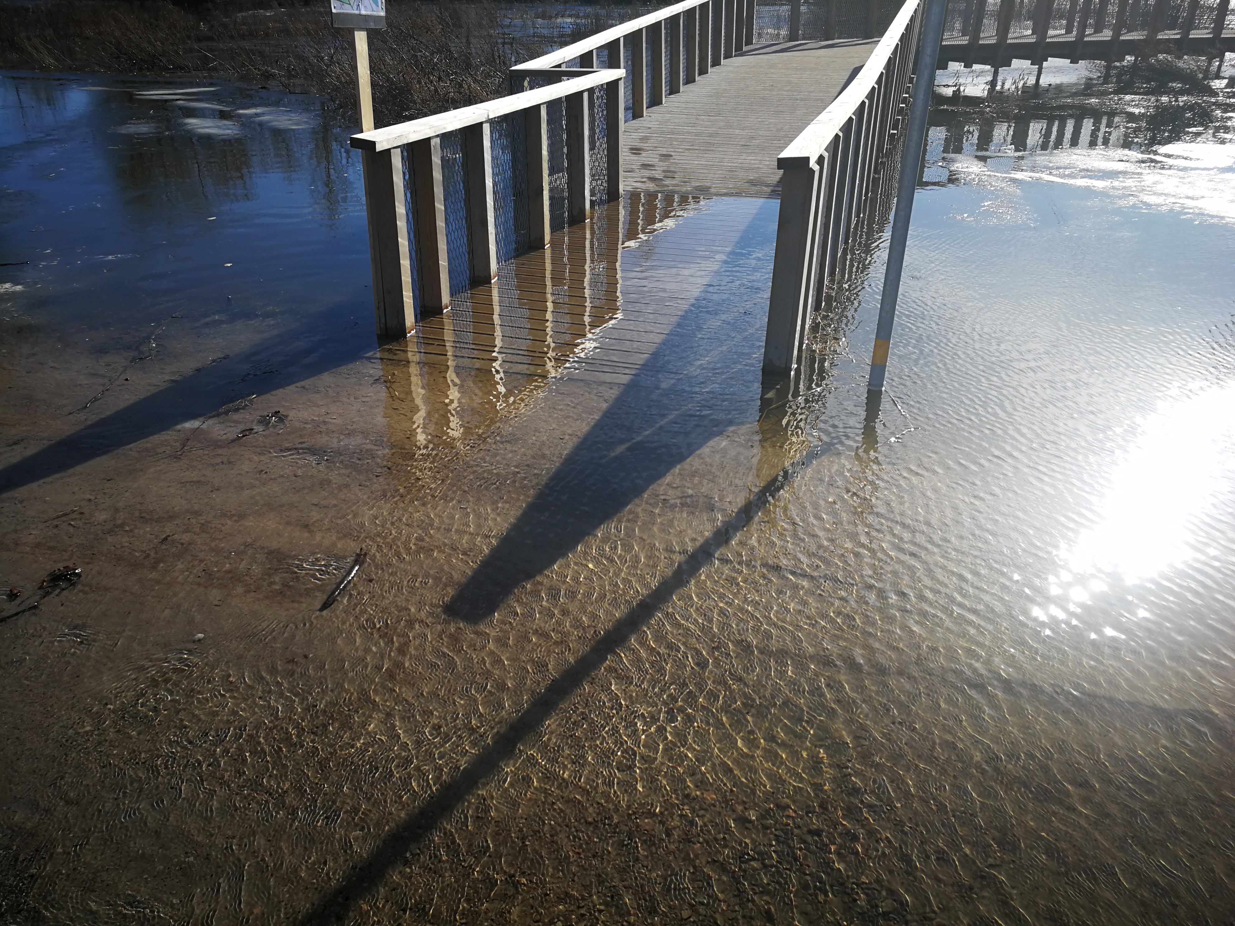 Miezītes ceļš pie laipām