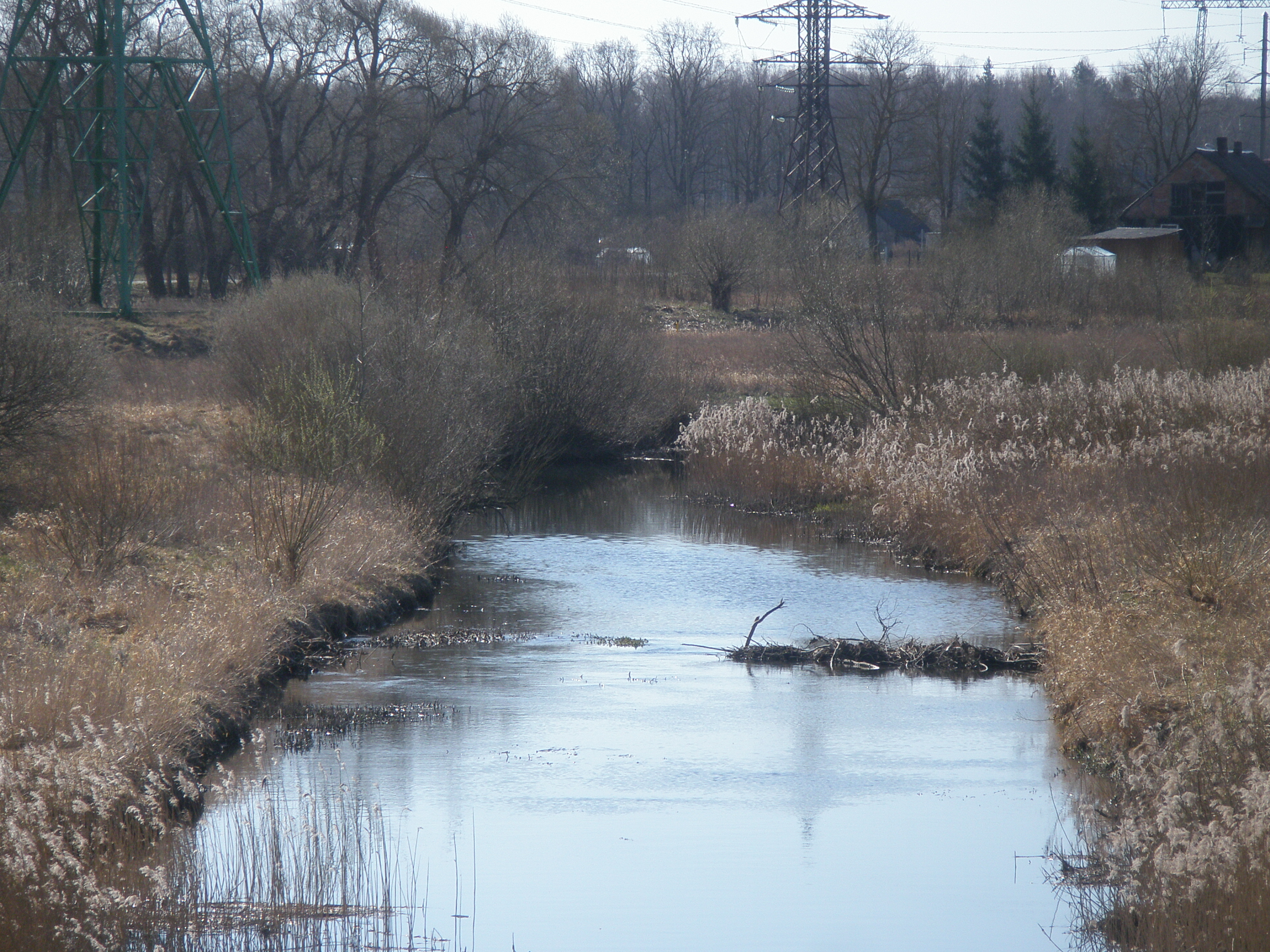 Bebru aizsprosti Platones upē