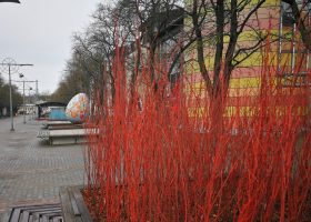 Lieldienu dekori Driksas gājēju ielā