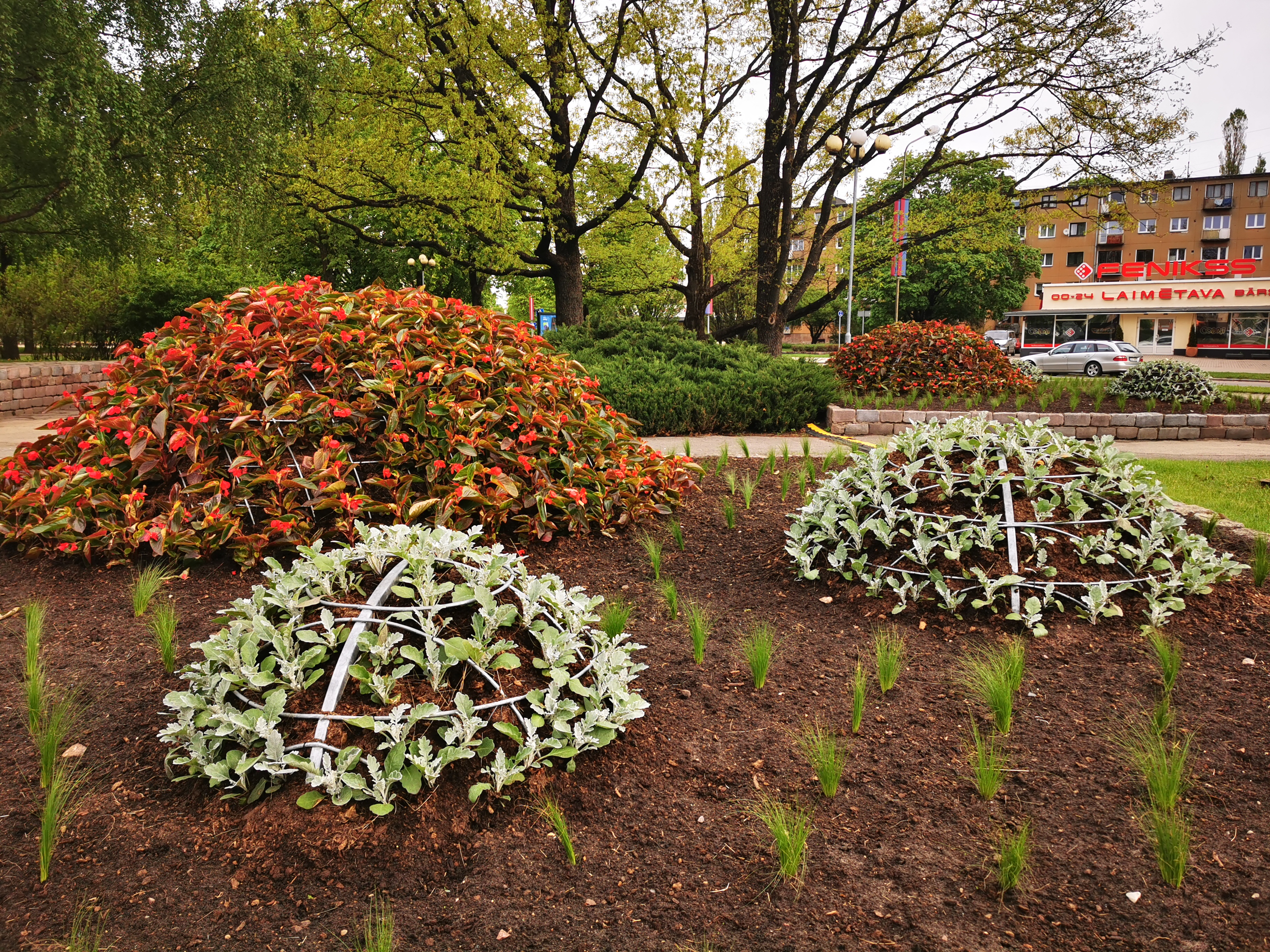 Puķu dobe Hercoga Jēkaba laukumā