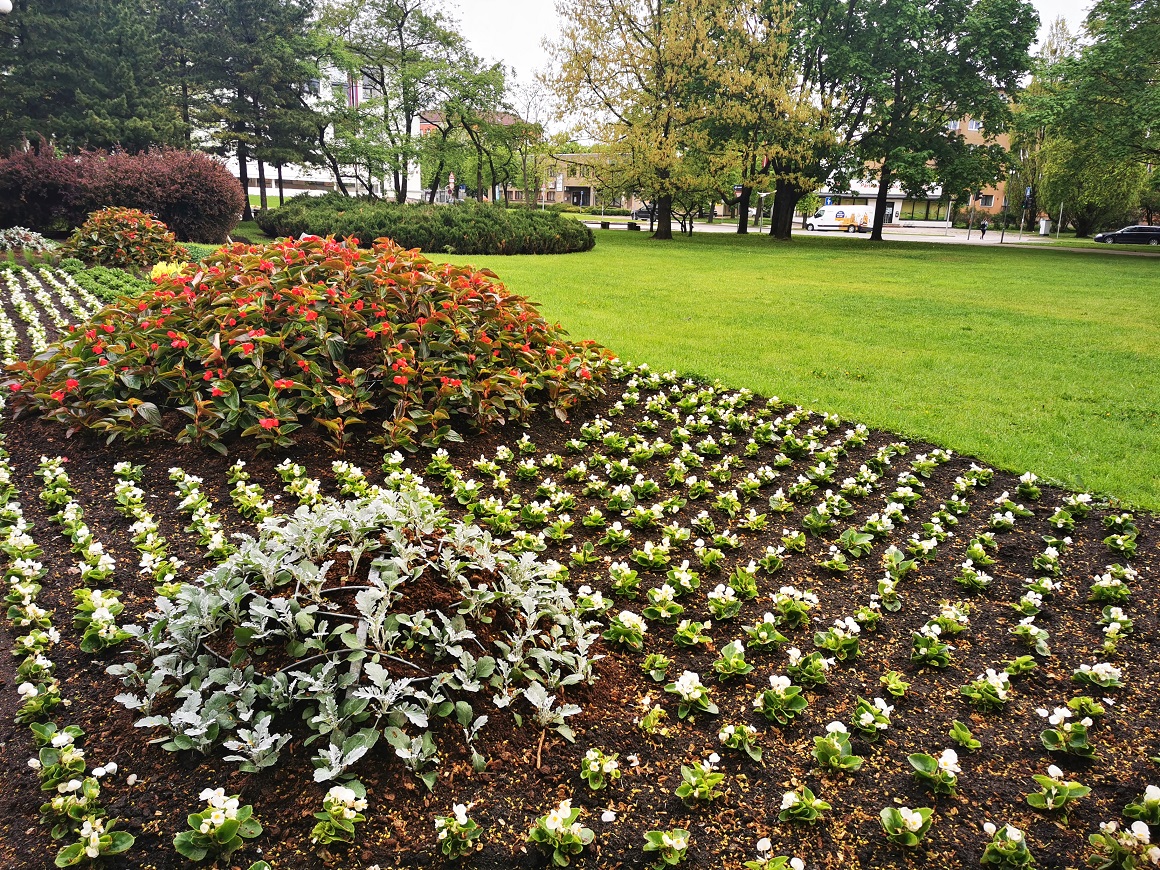 Puķu dobe Hercoga Jēkaba laukumā