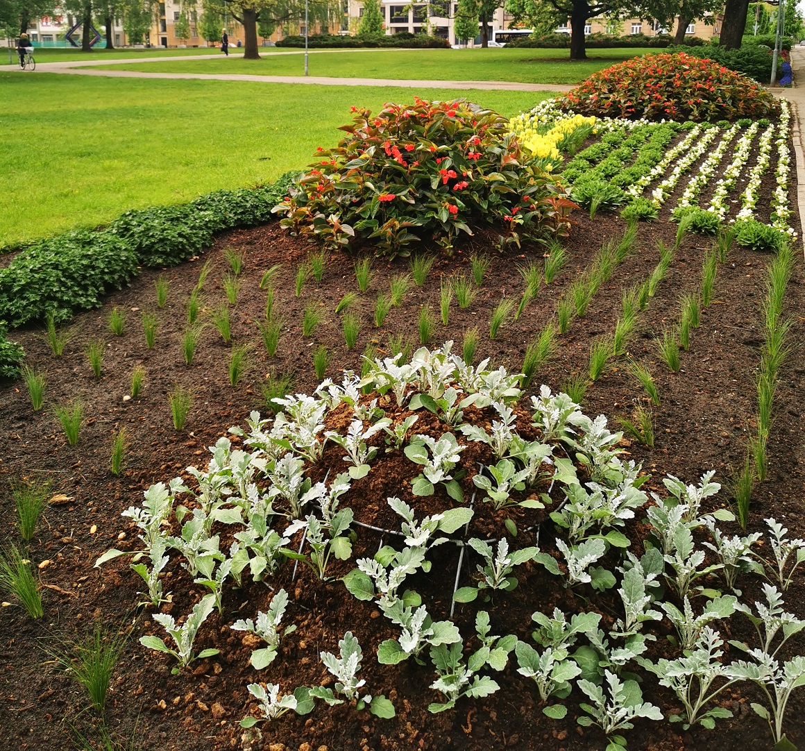 Puķu dobe Hercoga Jēkaba laukumā