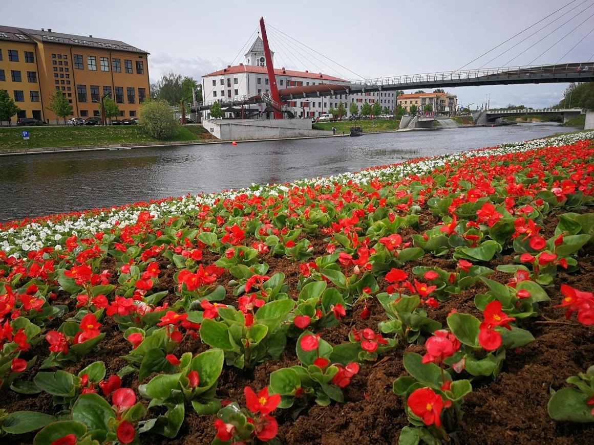 Pasta salas Driksas upes krasta nogāzes puķu dobe