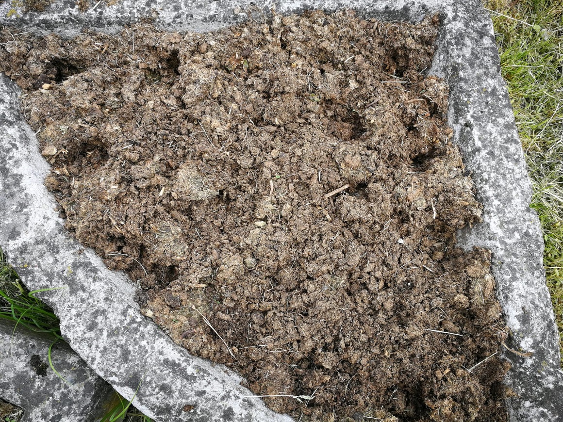 Puķu podi Draudzības ielā ar izzagtiem stādiem