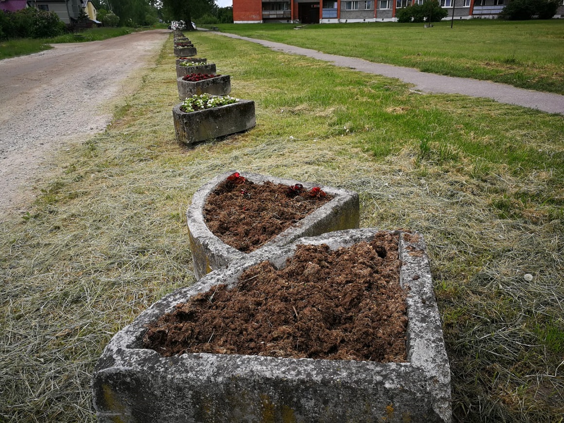 Puķu podi Draudzības ielā ar izzagtiem stādiem