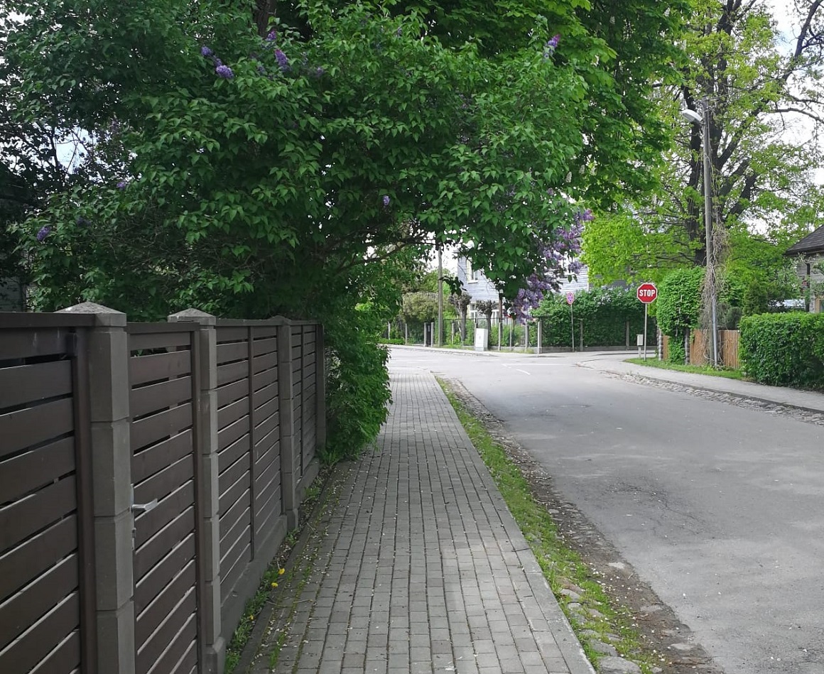 Koku un krūmu apaugums pie ietves