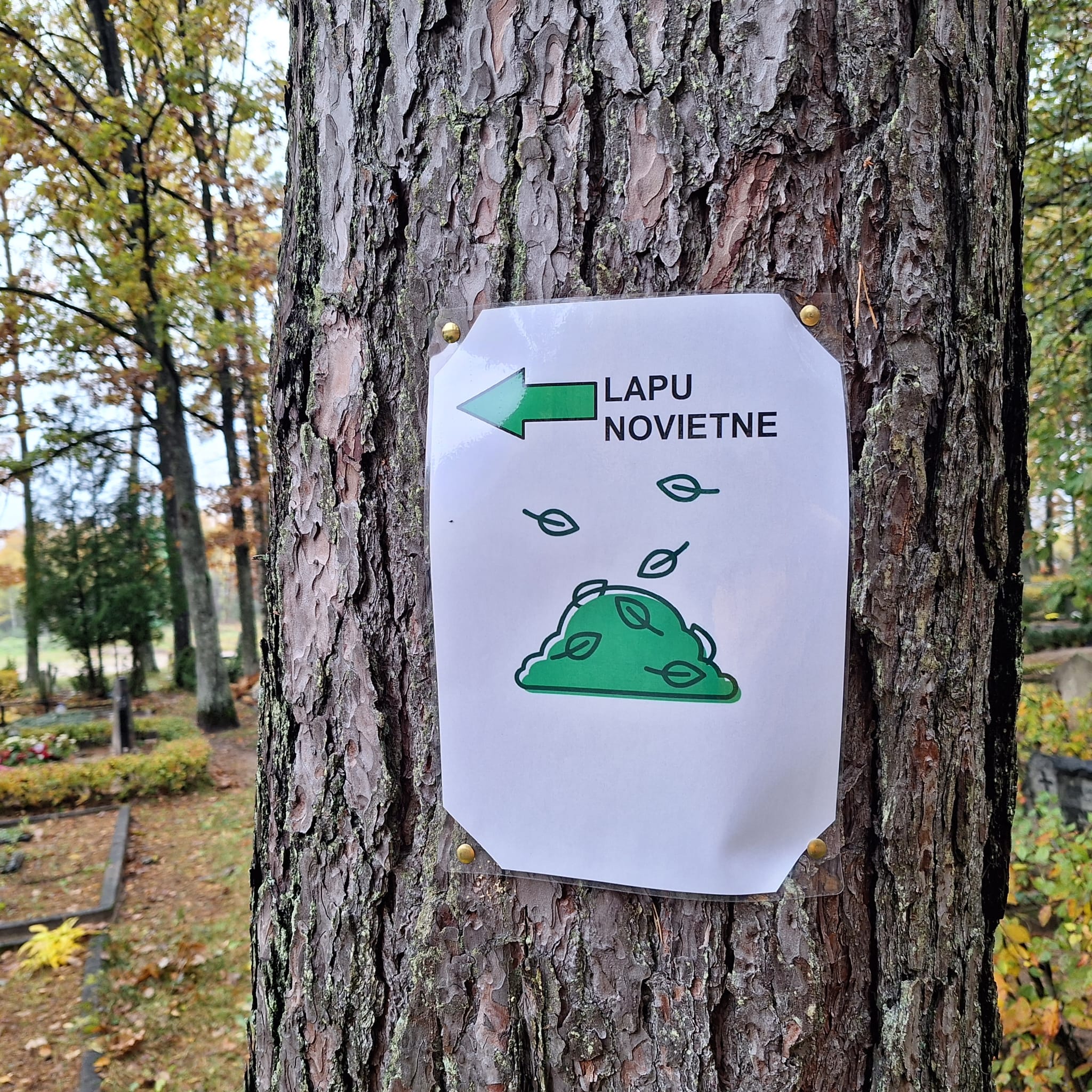 Norāde Meža kapos.