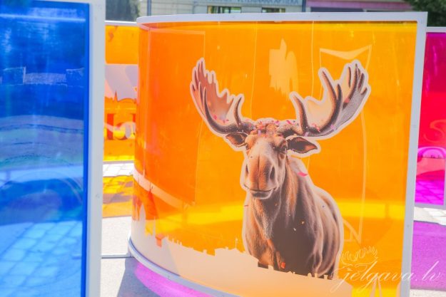 760-tematika-07-1015×677