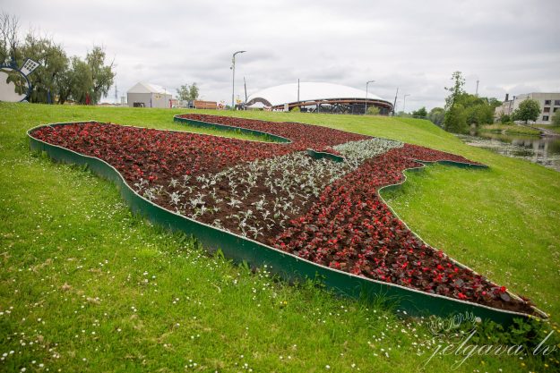 puku-dobe Pasta sala