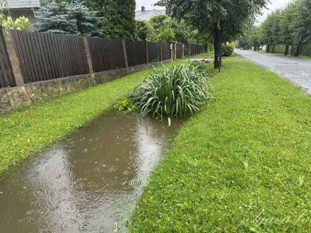 gravis-drza-iela-2 Dārza iela