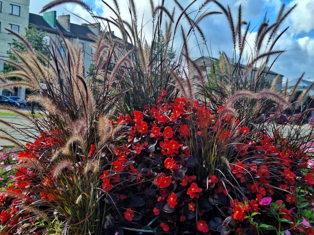 05c5c07d-4b77-4e32-9de3-fdce0763fab1