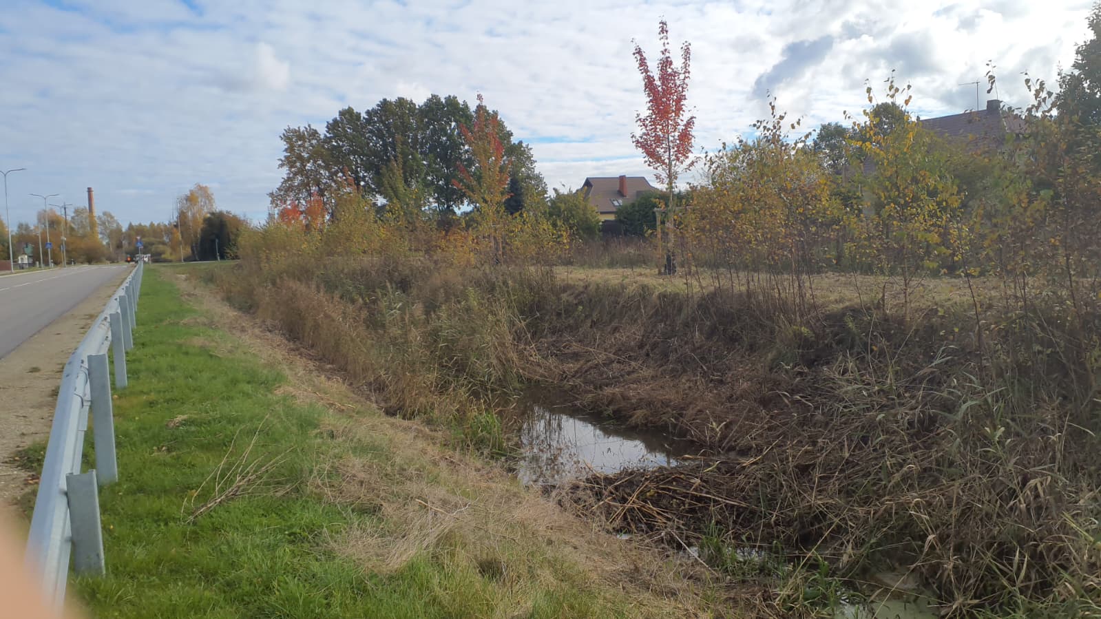 Bebru aizsprosts novadgrāvī