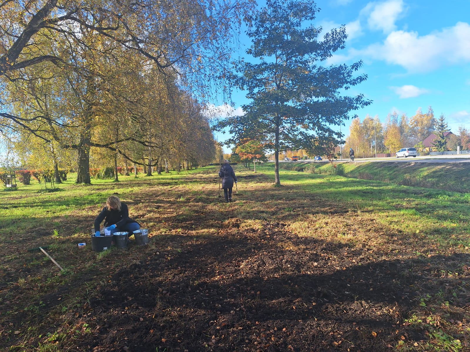 Mīlestības alejas pļava