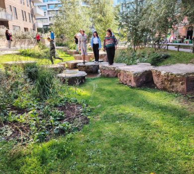 Akmens taciņa kā zaļais risinājums iekšpagalmā