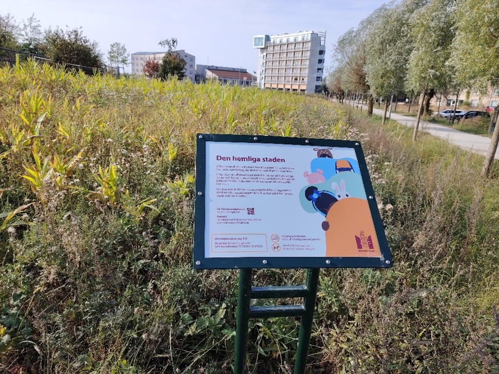 Apzaļumošanā izmanto vietējos augus un izliek informatīvas plāksnes iedzīvotāju izglītošanai