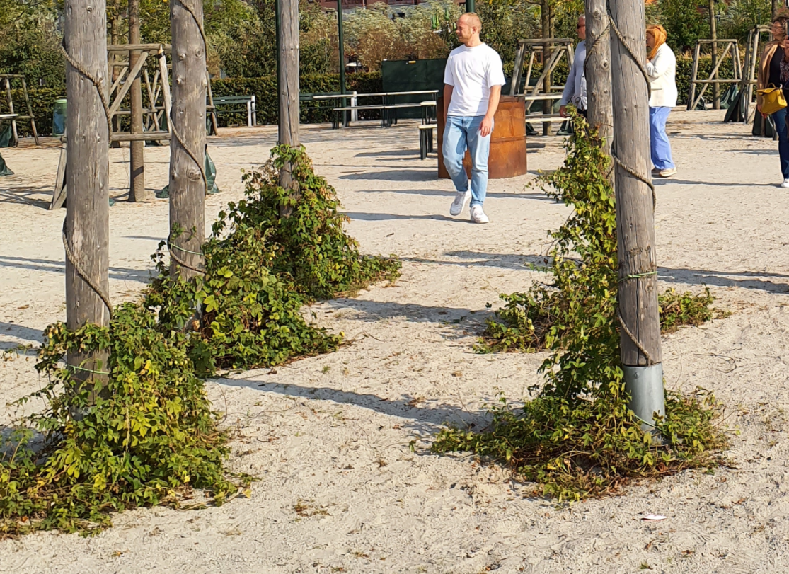 Apzaļumošanas ideja rotaļu laukumā