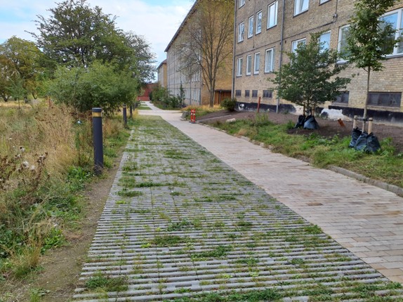 Bruģis ar raupju reljefu, kas izvietots slīpi, lai bremzētu ūdens plūsmas ātrumu