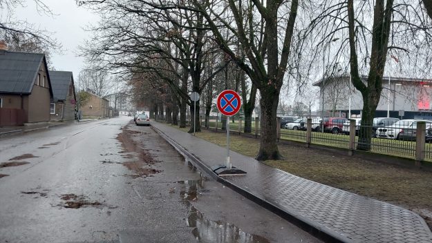 WhatsApp Image 2025-11-19 at 09.55.36 Zirgu iela