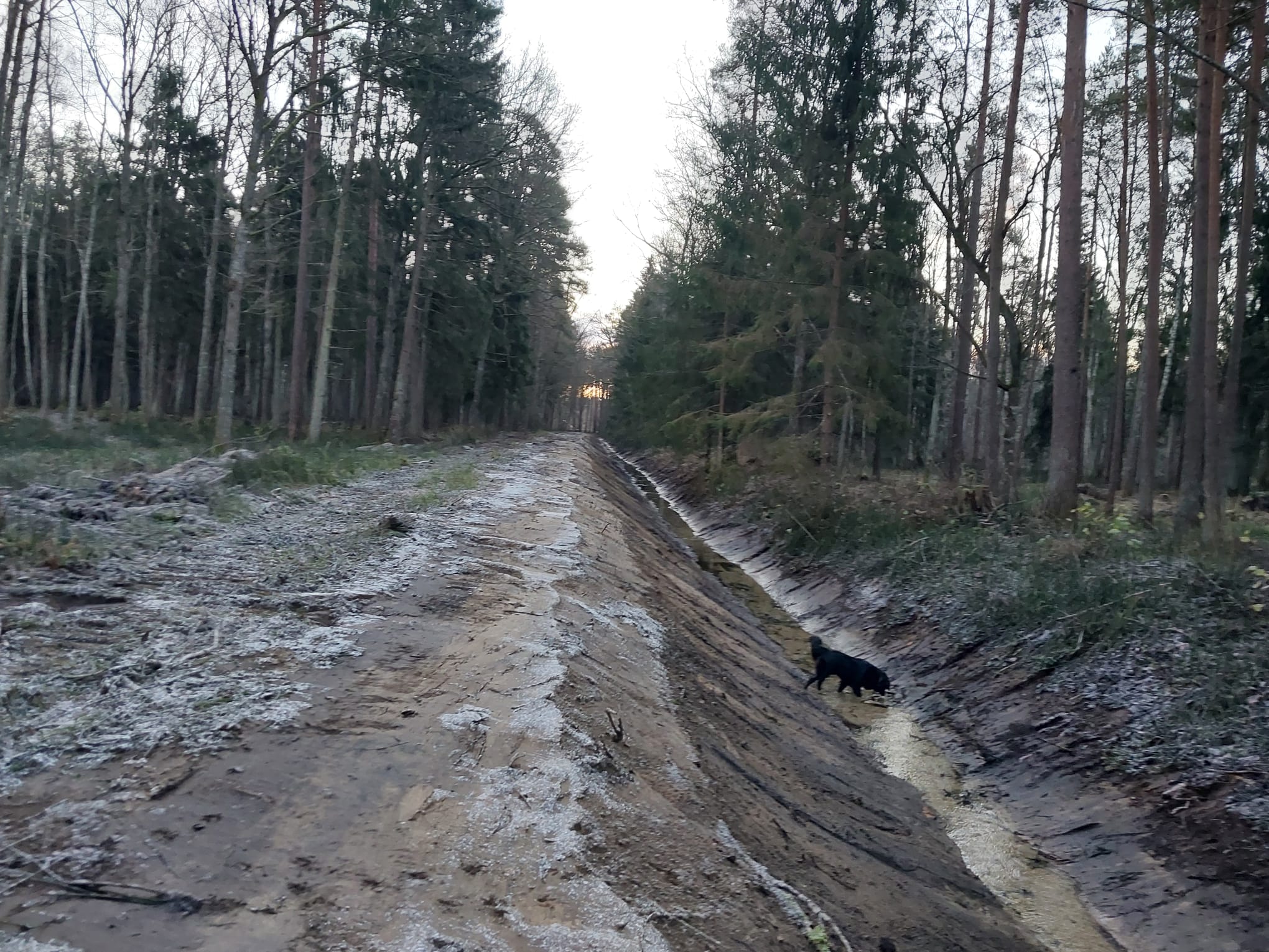 Lediņu mežā pabeigta grāvja gultnes pārtīrīšana
