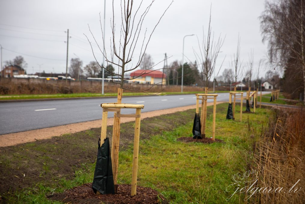 Zemgales industriālā parka ielu labiekārtošana