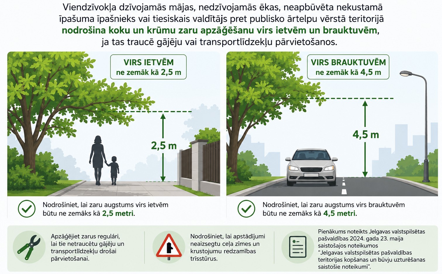 Infografika par zaru apzāģēšanu: virs ietvēm ne zemāk kā 2,5 m, virs brauktuvēm — 4,5 m. Noteikumi Jelgavā.