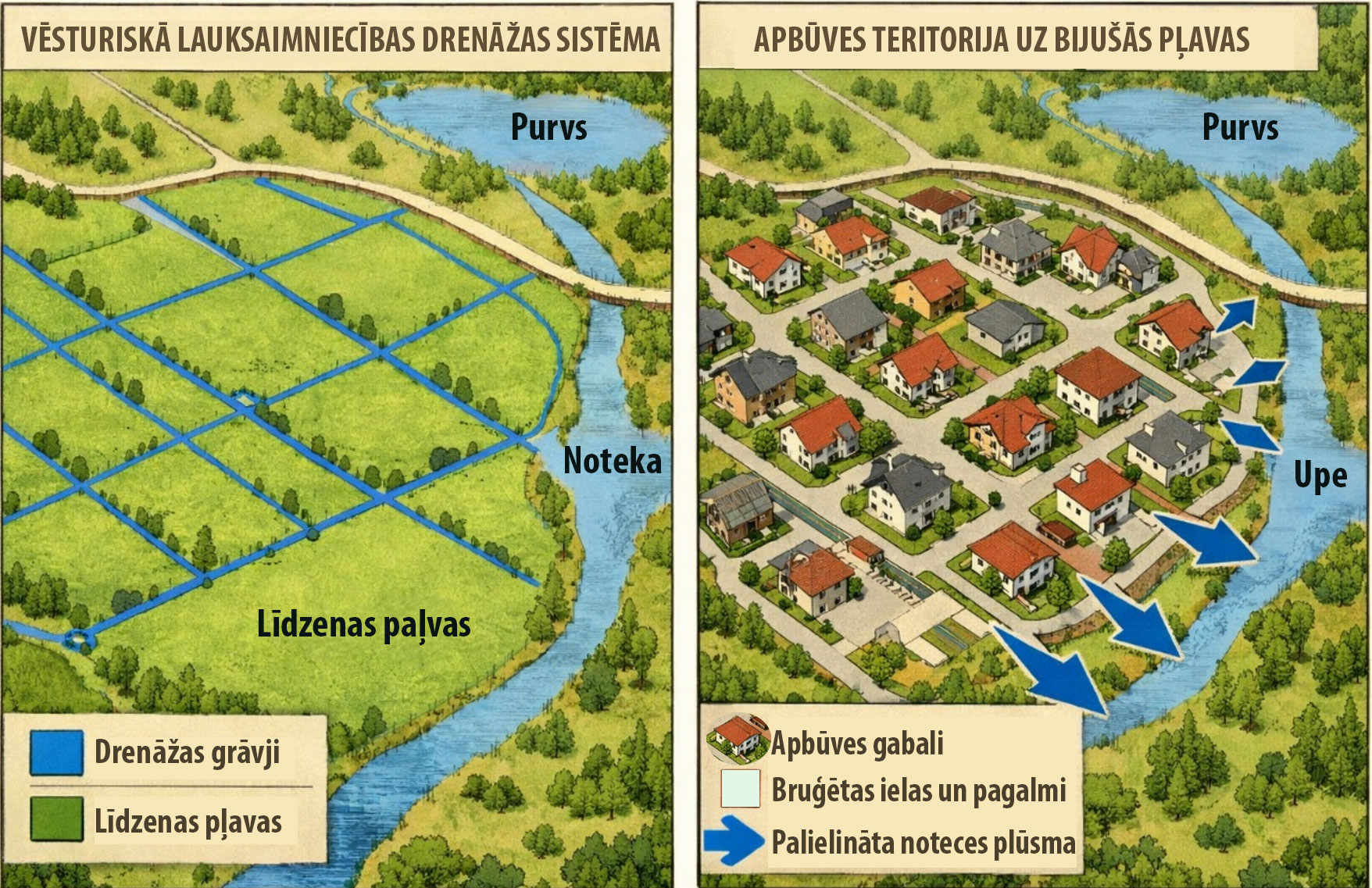 Salīdzinoša infografika par ainavas izmaiņām un ūdensnoteci. Attēls sastāv no divām daļām: Kreisajā pusē: „Vēsturiskā lauksaimniecības drenāžas sistēma”. Attēlota dabiska vide ar līdzenām pļavām, purvu un upi. Pļavu šķērso regulārs drenāžas grāvju tīkls, kas lēni novada ūdeni uz upi (iezīmēta „Noteka”). Dominē zaļā krāsa un dabiska ūdens infiltrācija. Labajā pusē: „Apbūves teritorija uz bijušās pļavas”. Tajā pašā vietā tagad redzams blīvs dzīvojamo māju rajons ar bruģētām ielām un pagalmiem. Drenāžas grāvji ir pazuduši. Ar lielām, zilām bultām iezīmēta „Palielināta noteces plūsma”, kas no cietajām virsmām (jumtiem, bruģa) strauji un lielā apjomā ieplūst upē. Infografika uzskatāmi parāda, kā urbanizācija un dabisko pļavu aizstāšana ar apbūvi palielina plūdu risku, radot straujāku ūdens noteci ūdenstilpēs.