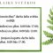 JVPI “Pilsētsaimniecības” darba laiks svētku nedēļā 26. jūnijā (piektdien) no plkst. 8.00 līdz 13.00; 27. jūnijā (sestdien) no plkst. 8.00 līdz 12.00. 25. līdz 27. jūnijam kapsētu darba laiks no plkst. 8.00 līdz 17.00.