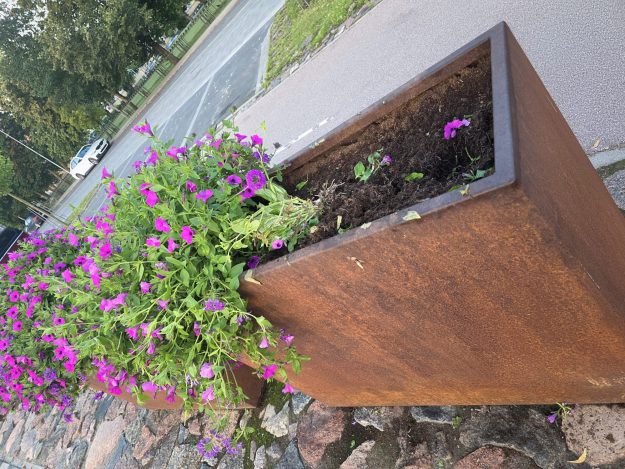 Cakstes_puku_podi (2) Rūsgana metāla puķu pods ielas malā, kurā daļa rožaino un violeto ziedu ir izrauta, atstājot tukšu un izrakātu zemi.