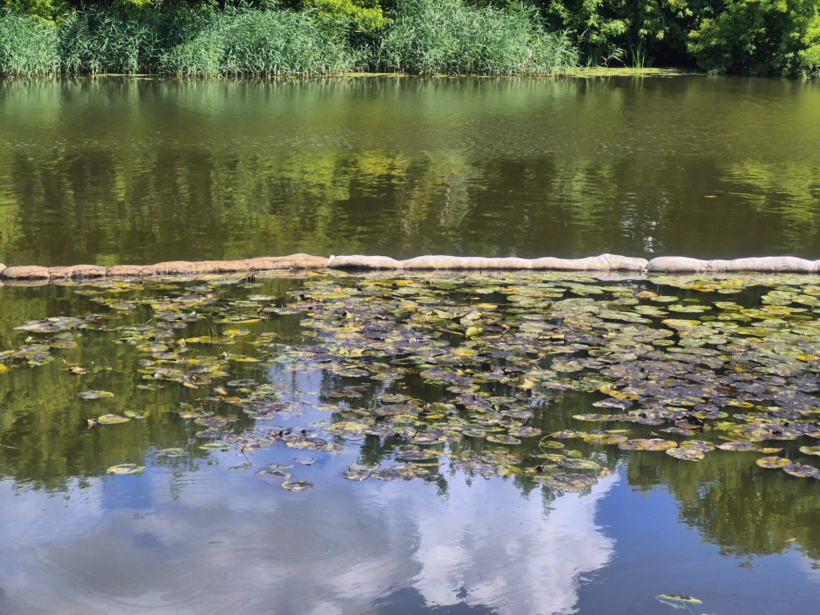 Ūdens virsmā tumšs darvas piesārņojums un atspulgi no debesīm ar mākoņiem.