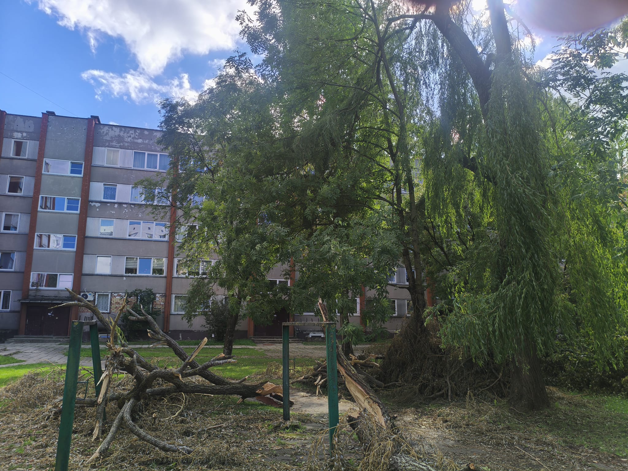 Turpinās augusta vētrā lauzto un izgāzto koku novākšana