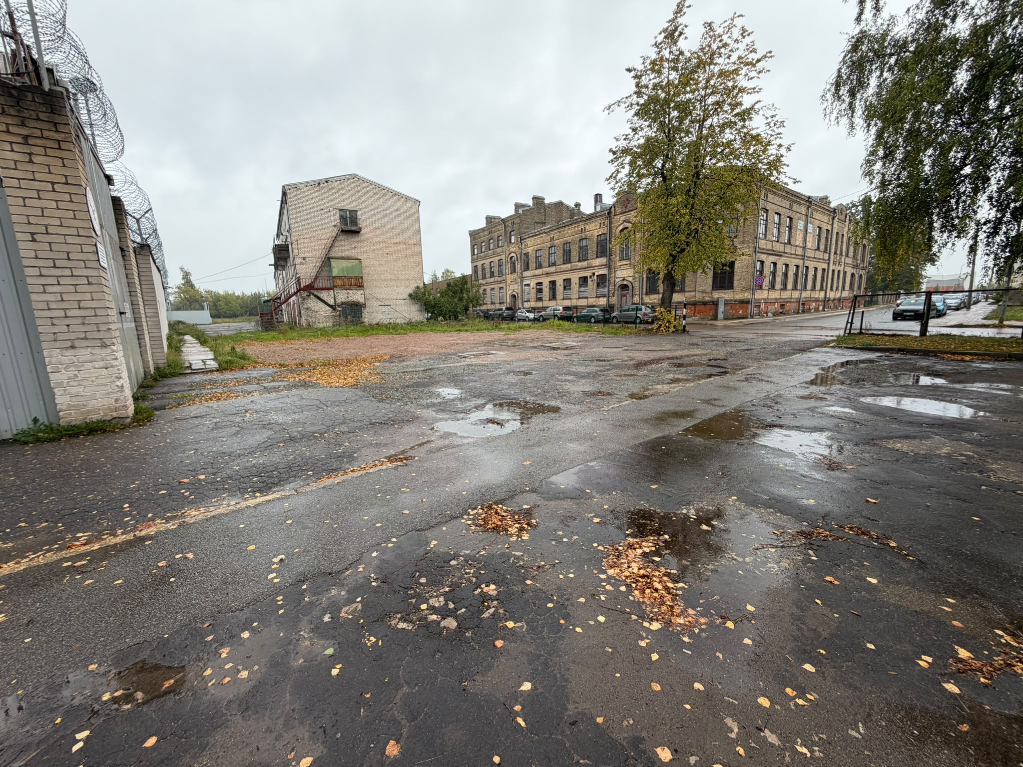 Nosasfaltēts stāvlaukums Palīdzības ielā 3, ar dzeltenām rudens lapām