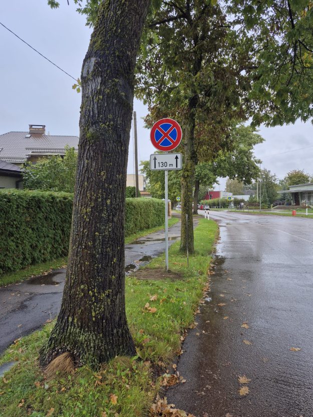 Sarmas Slapja iela rudenī ar koku stumbriem priekšplānā un ceļa zīmi "Apstāties un stāvēt aizliegts"